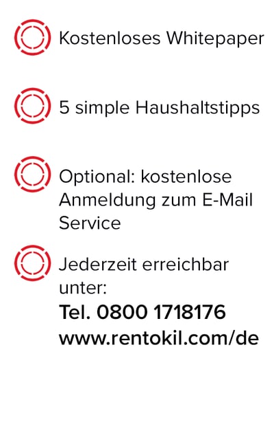 Ameisen Side Kopie Ameisen Side Kopie