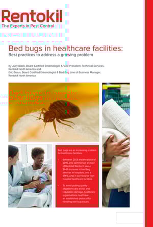 Bed-bugs-in-healthcare-whitepaper-image Bed-bugs-in-healthcare-whitepaper-image