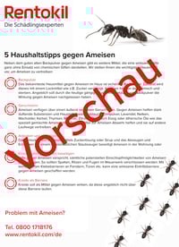 Info - Ameisen Haushaltstipps-1 Info - Ameisen Haushaltstipps-1