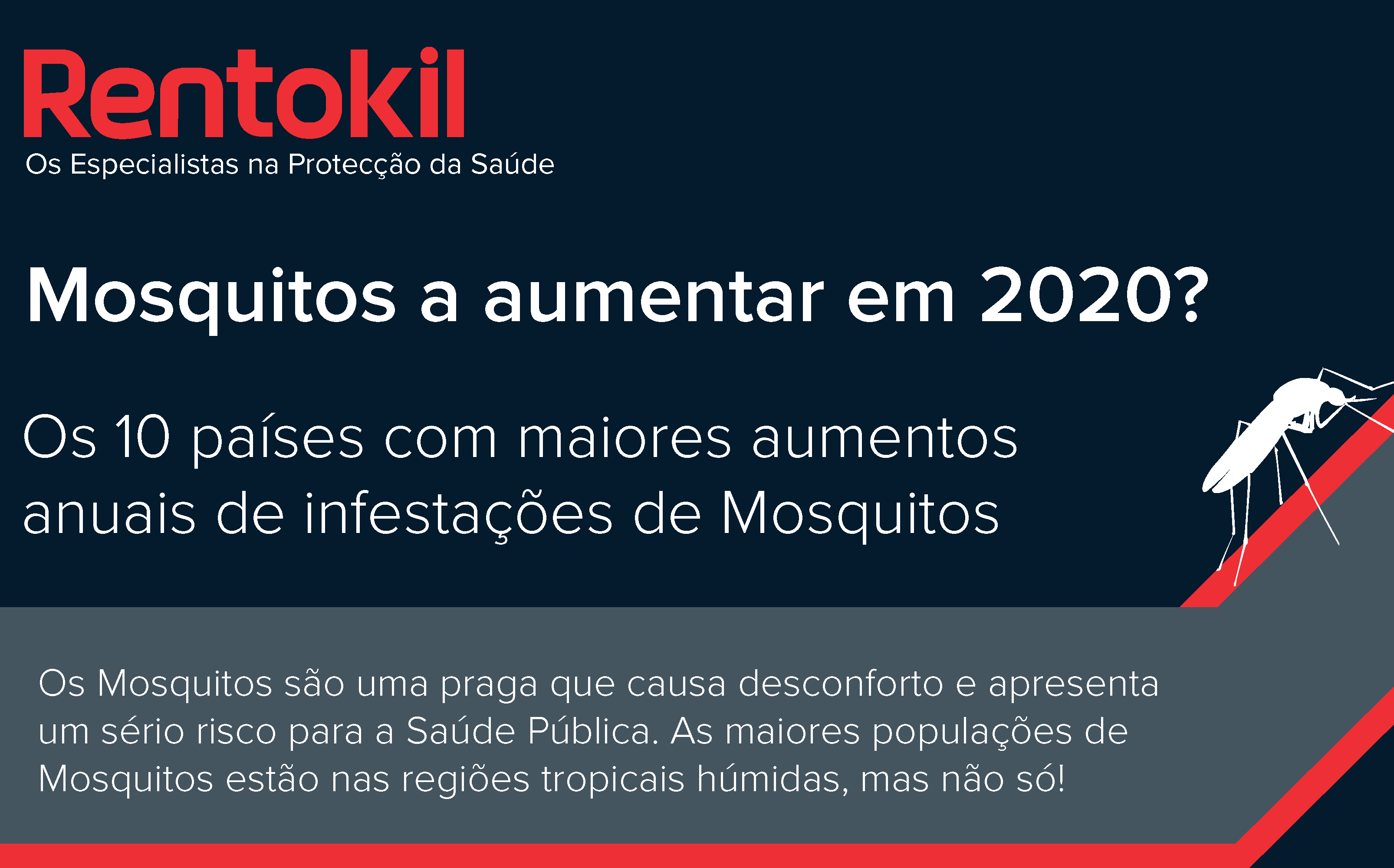 Infografia Mosquitos Infografia Mosquitos