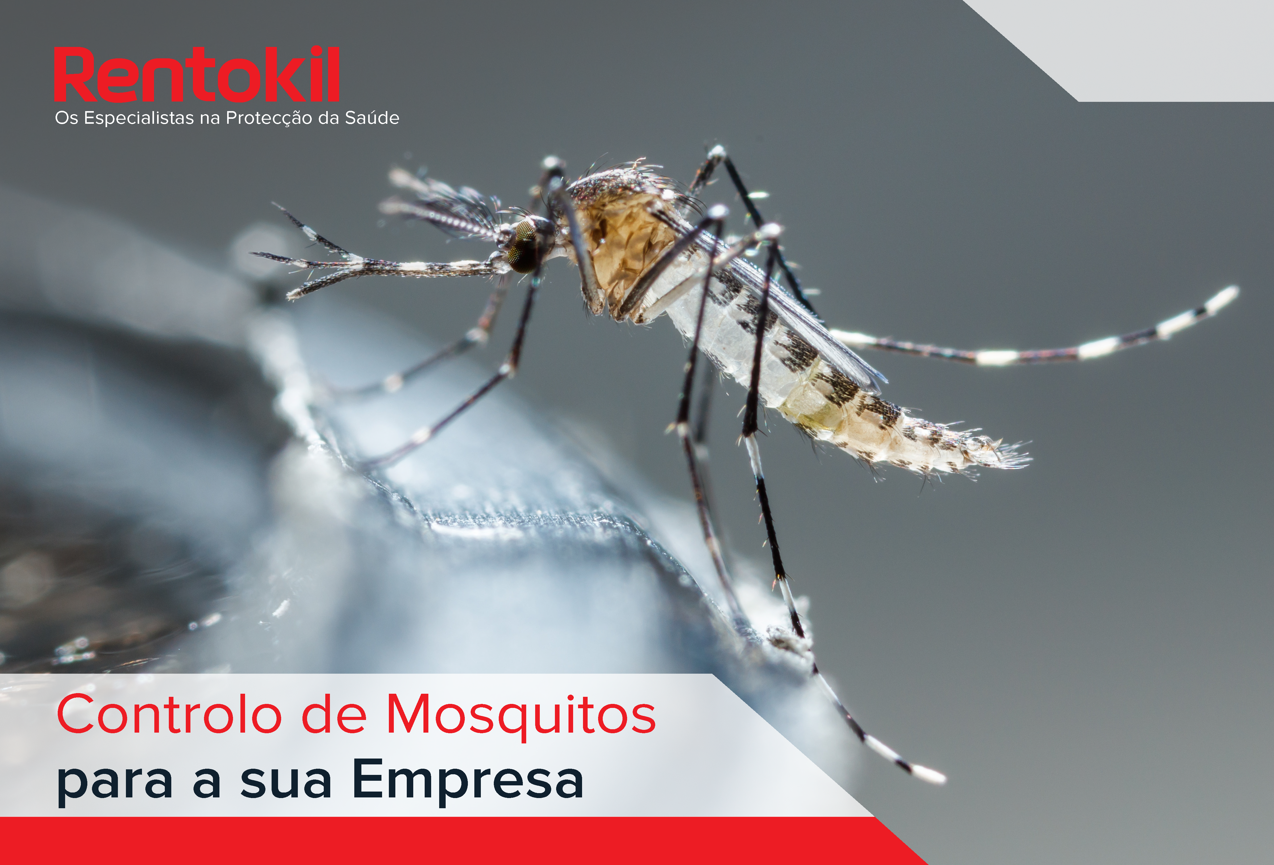 Rentokil_Controlo de Mosquitos para Empresas Rentokil_Controlo de Mosquitos para Empresas