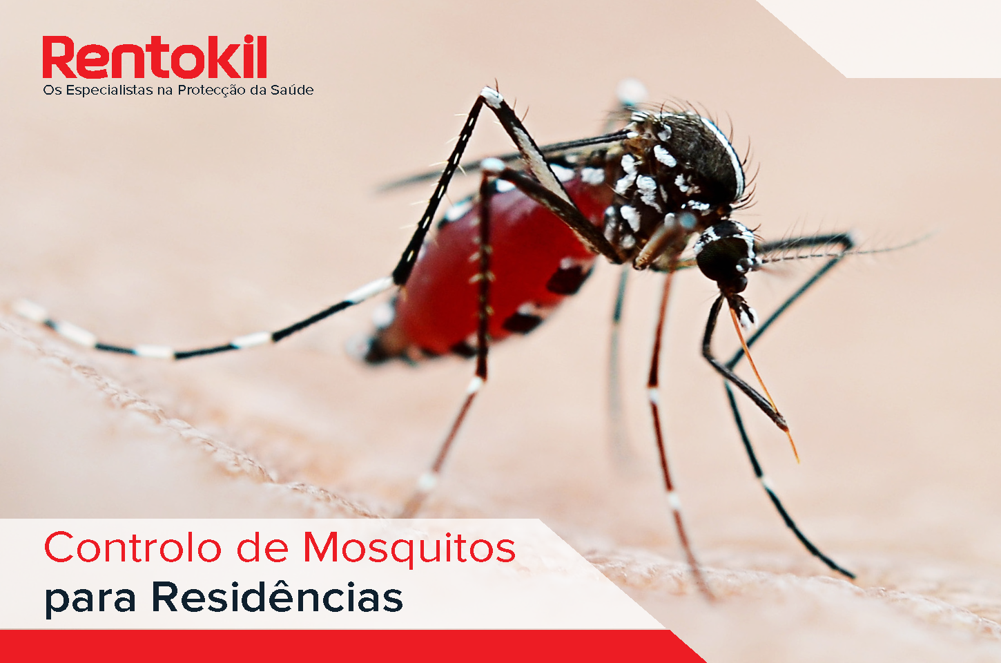 Rentokil_Controlo de Mosquitos para Residências Rentokil_Controlo de Mosquitos para Residências