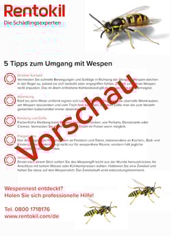 Wasp Wasp