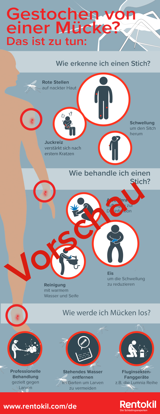 Infografik - Gestochen von einer Mücke-1 Infografik - Gestochen von einer Mücke-1